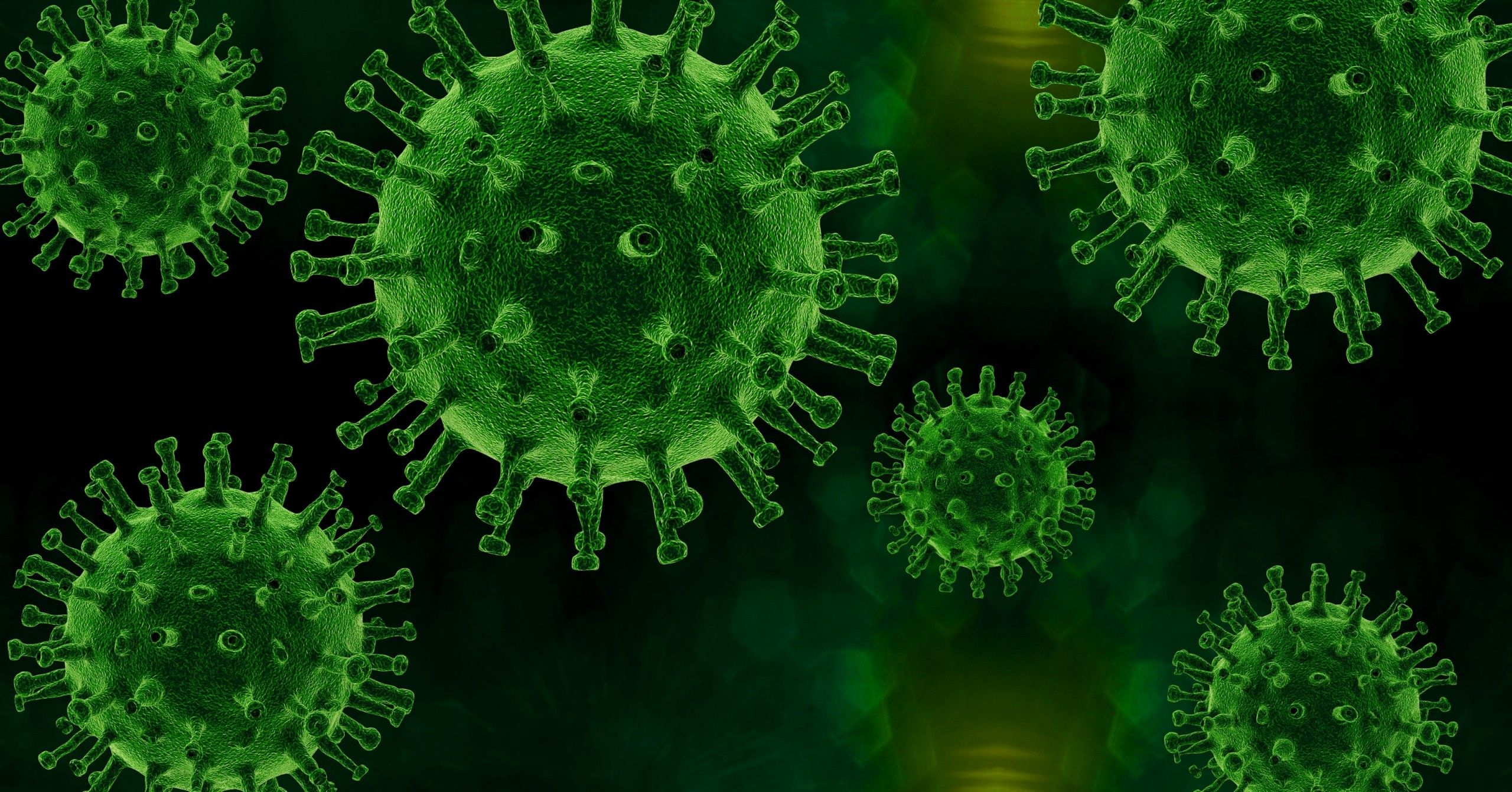 Image of corona virus